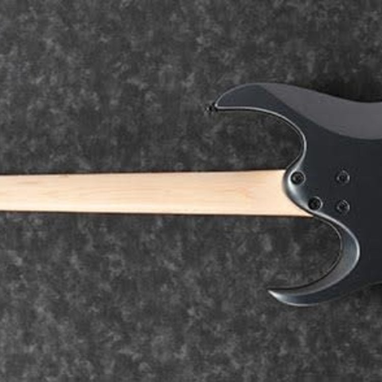 Ibanez Ibanez Standard RGA42EX Electric Guitar - Black Aurora Burst Matte