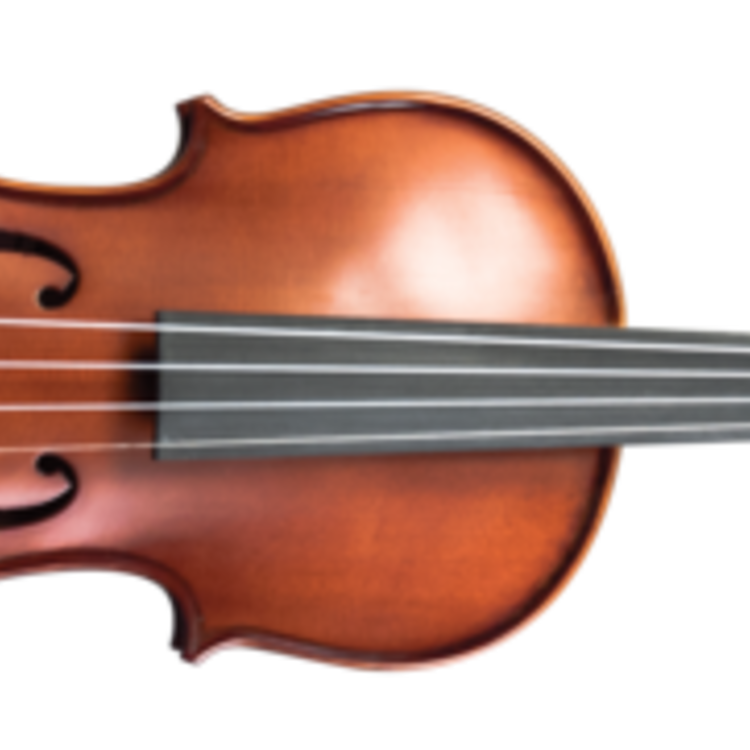 Palatino Palatino 650 Violin Outfit, 3/4 - includes Bow & Case
