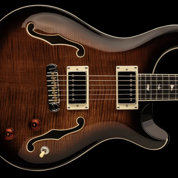 PRS PRS SE Hollowbody II in Black Gold Burst w/Case