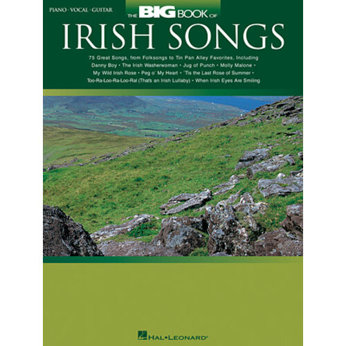 Hal Leonard The Big Book of Irish Songs