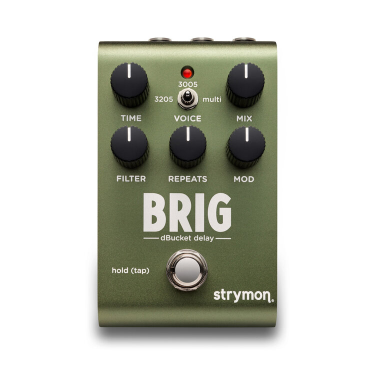 Strymon Strymon Brig - Certified Organic Echo