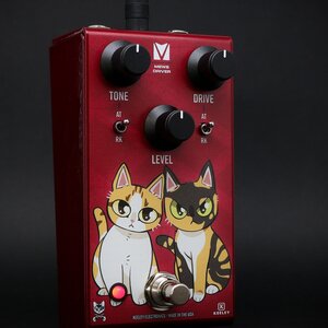 ギター cat Tokai Cat's Eyes CE-280D N Acoustic Guitar 1981 made in