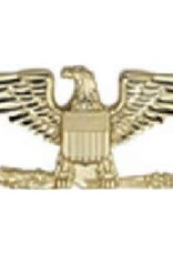 Hero's Pride 1" Gold Colonel Eagle Pair