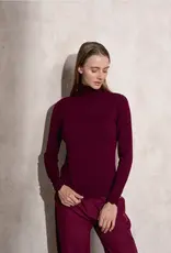 Copy of T neck sweater w/button