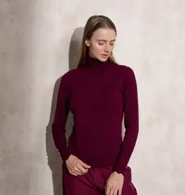 Copy of T neck sweater w/button