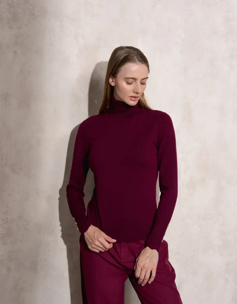 Copy of T neck sweater w/button