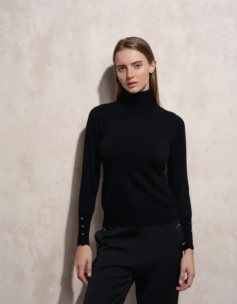 Copy of T neck sweater w/button