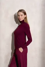 Copy of T neck sweater w/button