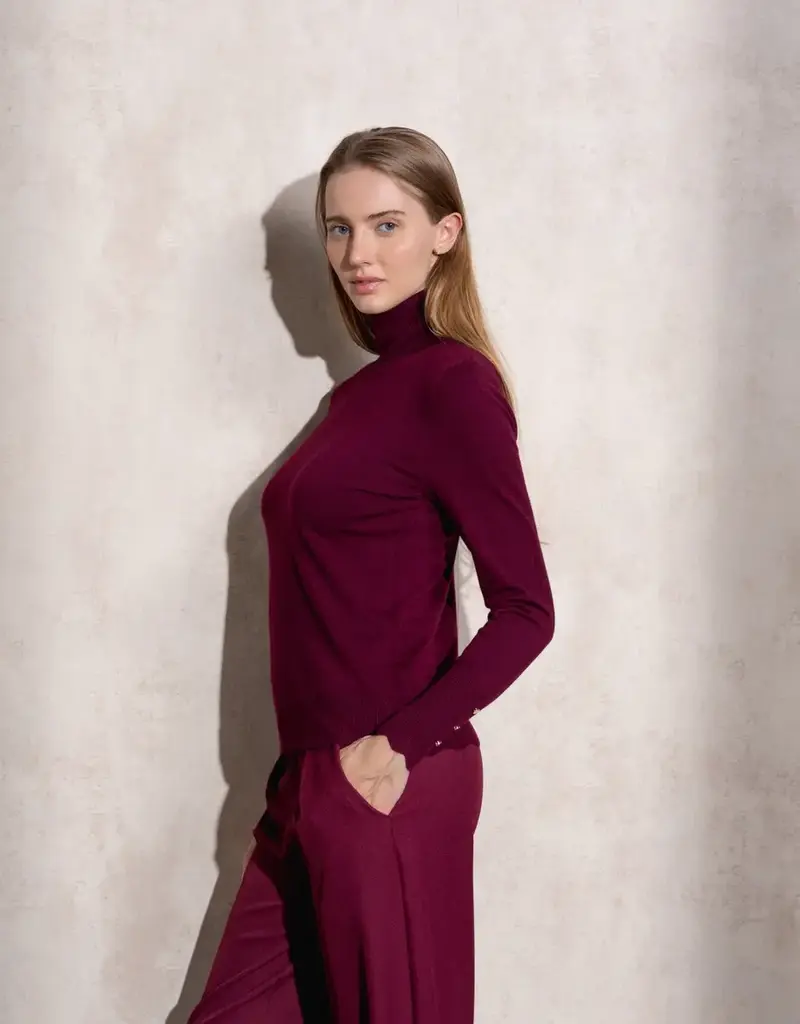 Copy of T neck sweater w/button