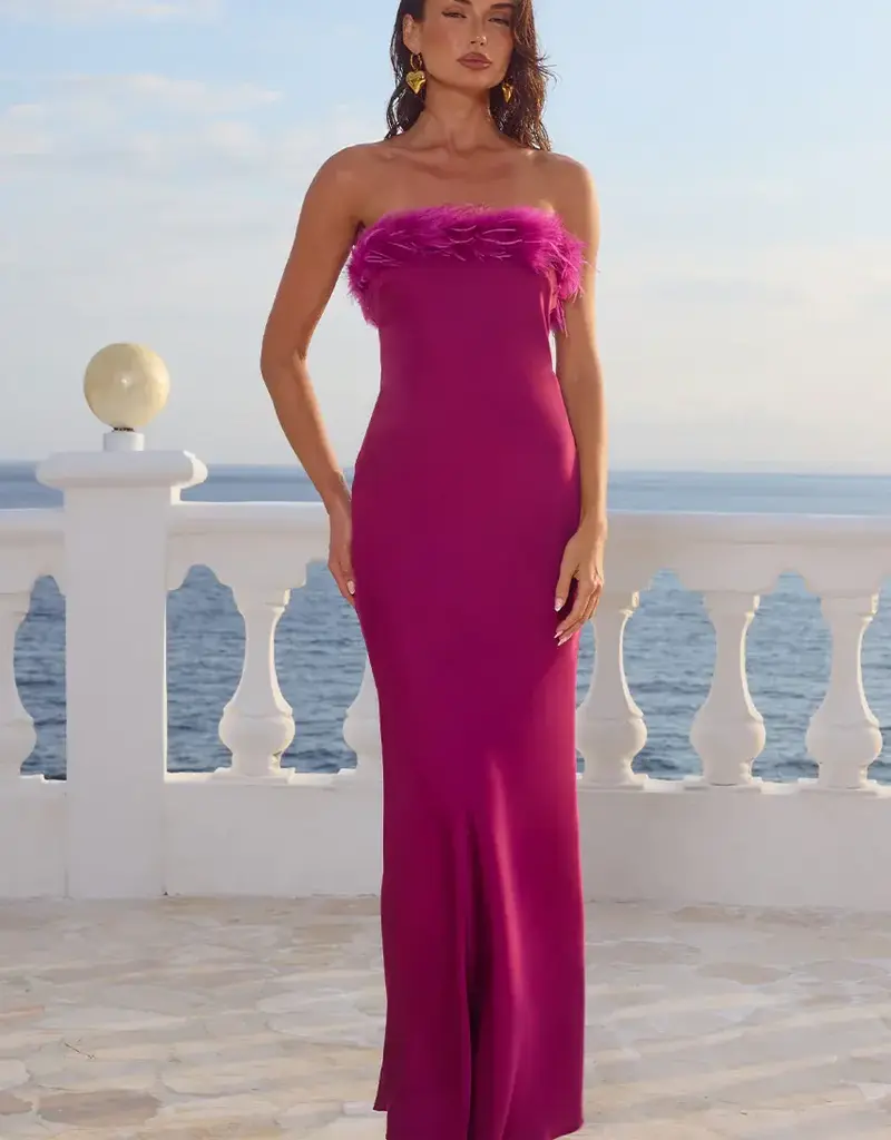 Ariana maxi dress