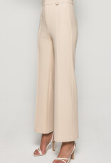 Knit dress pant