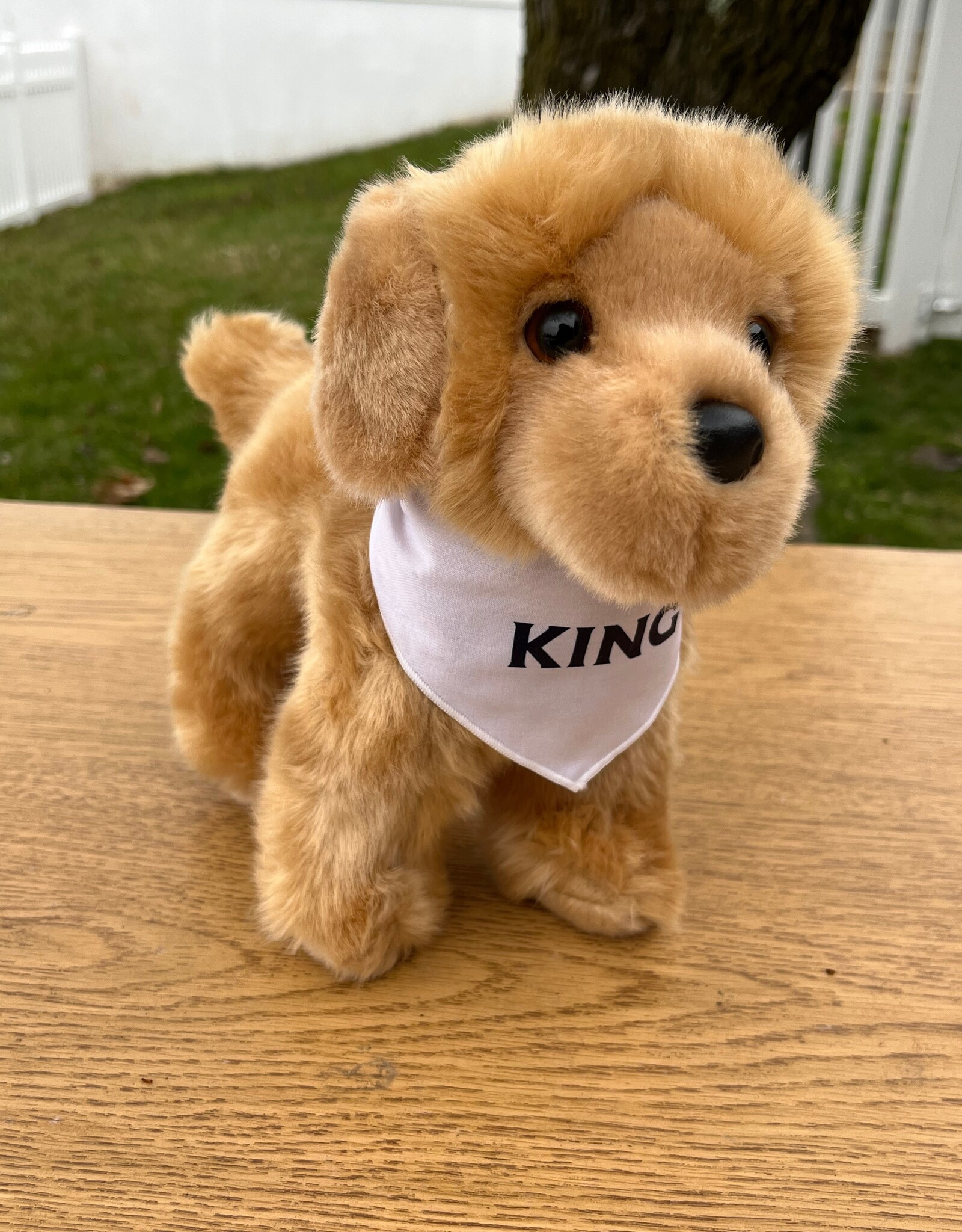 Douglas KING Puppy with Bandana