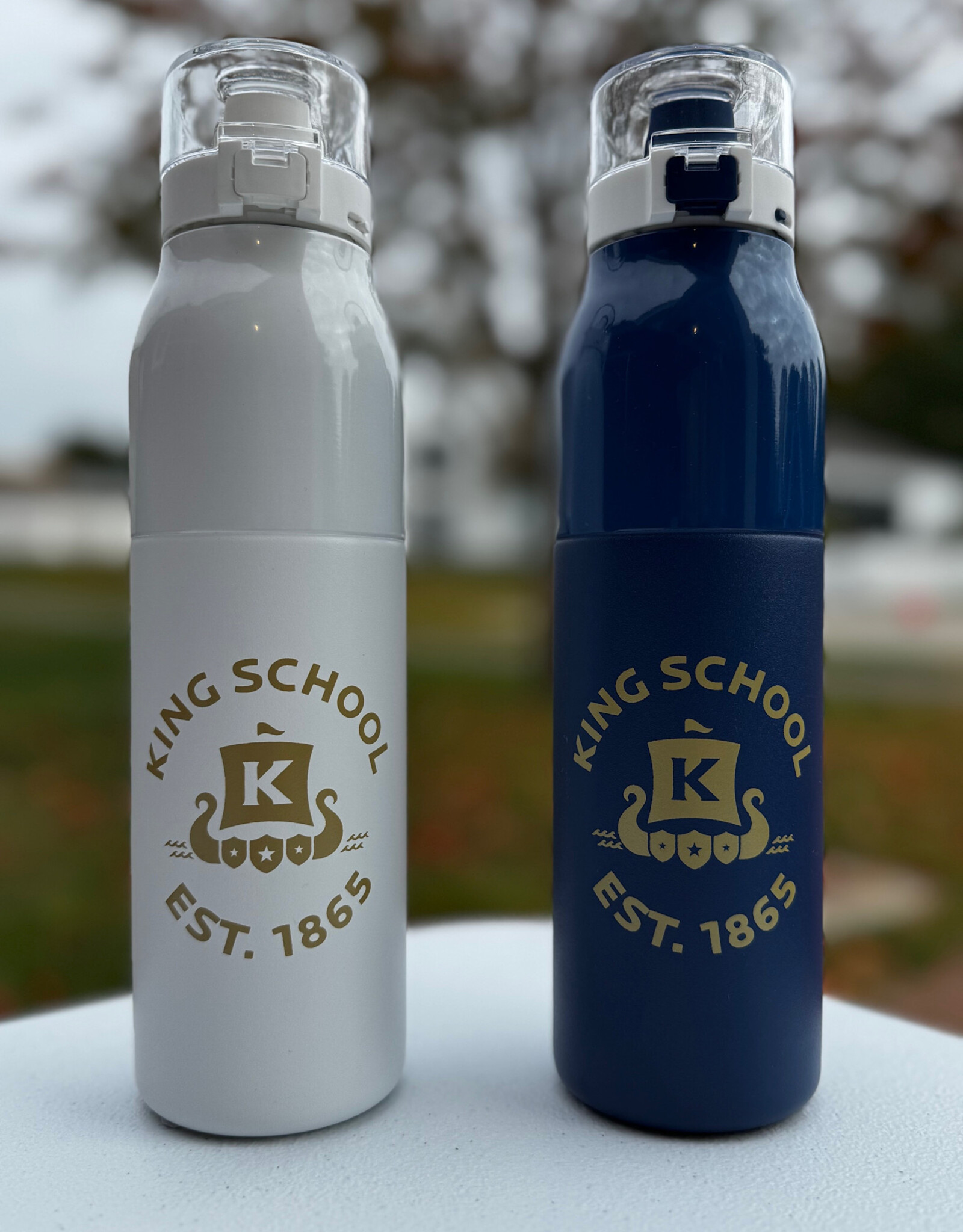 25-oz H2GO Vigor Thermal Water Bottle