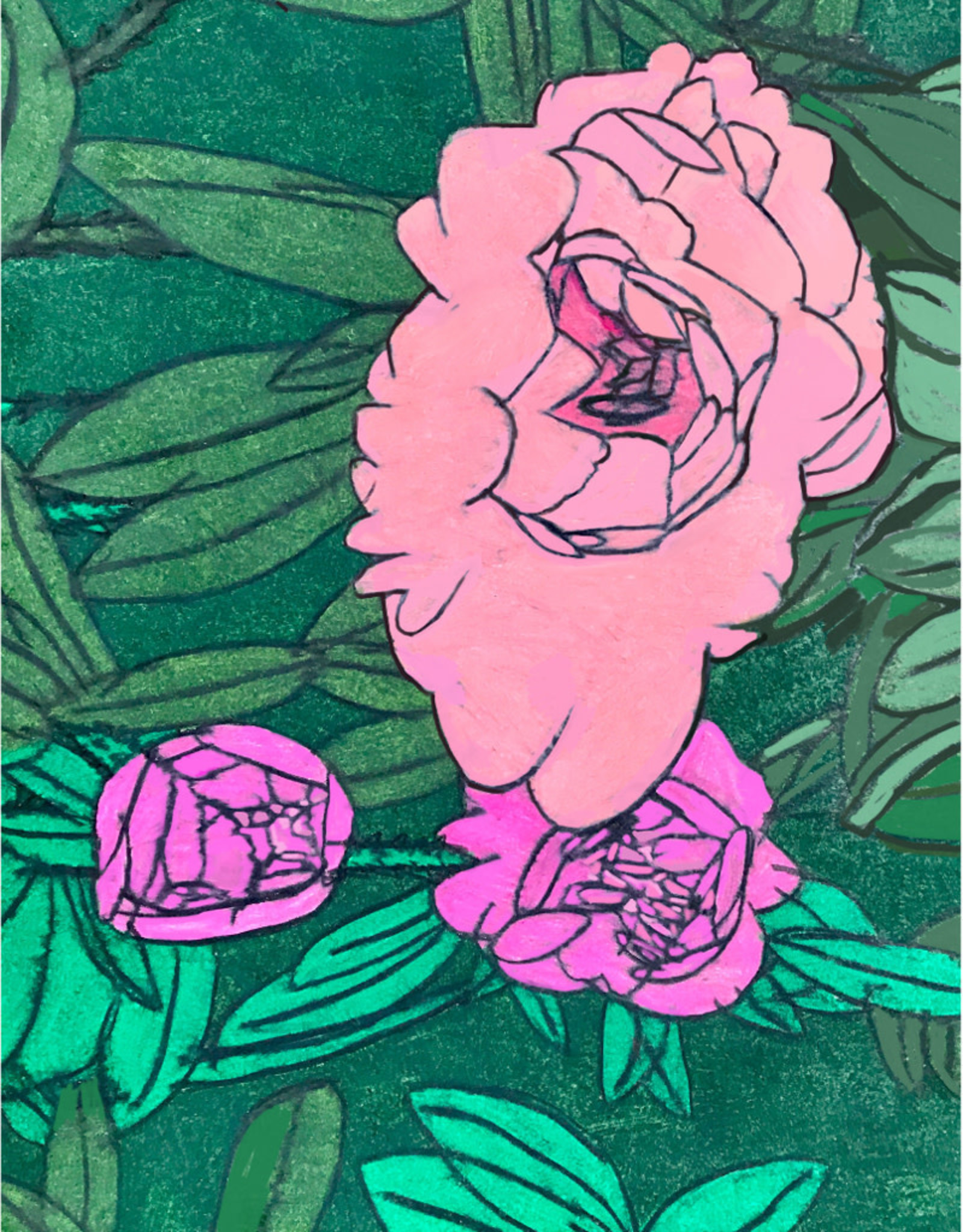 Create Greeting Pink Flower Blooming