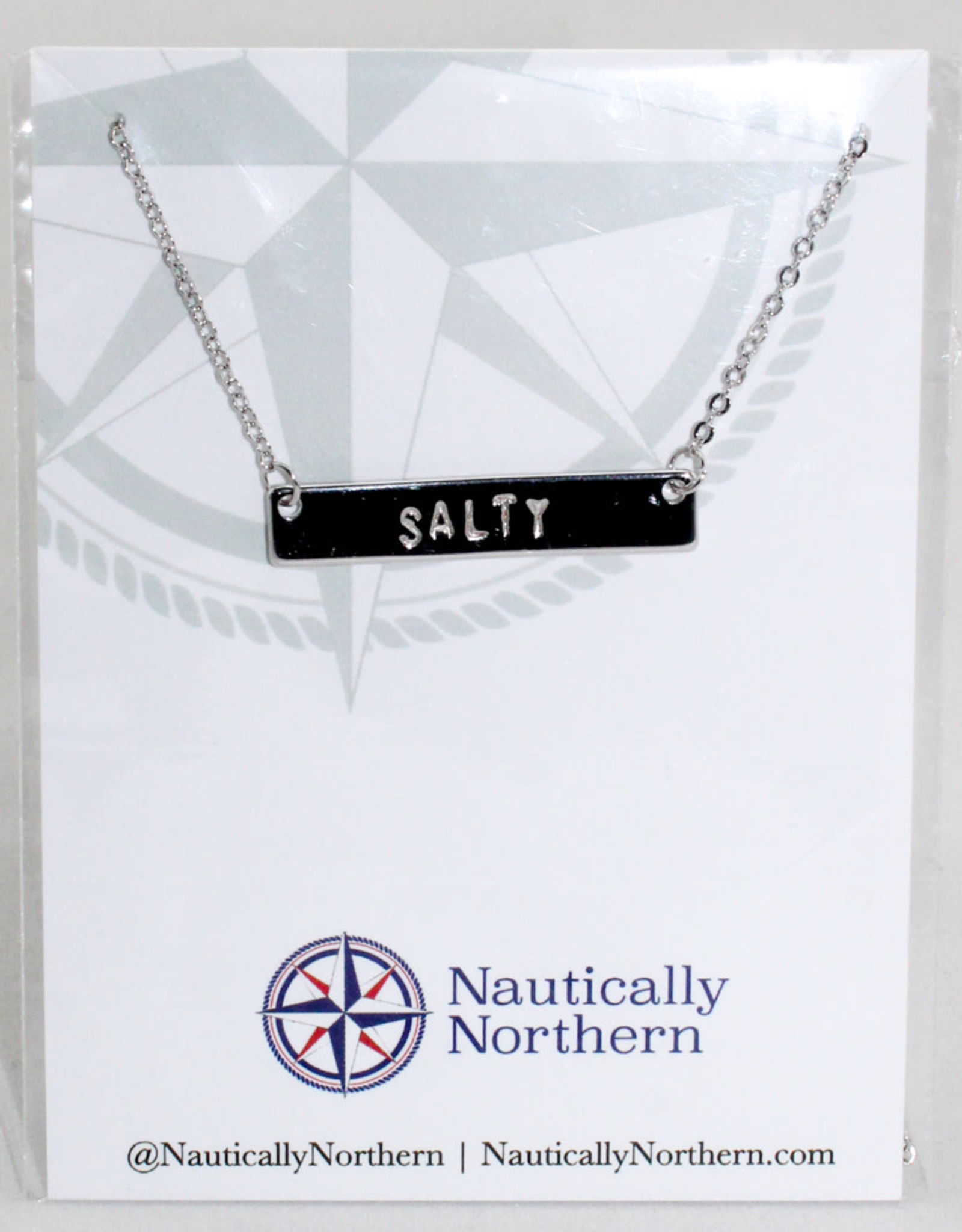 Nautically Northern Salty Bar Necklace- SS