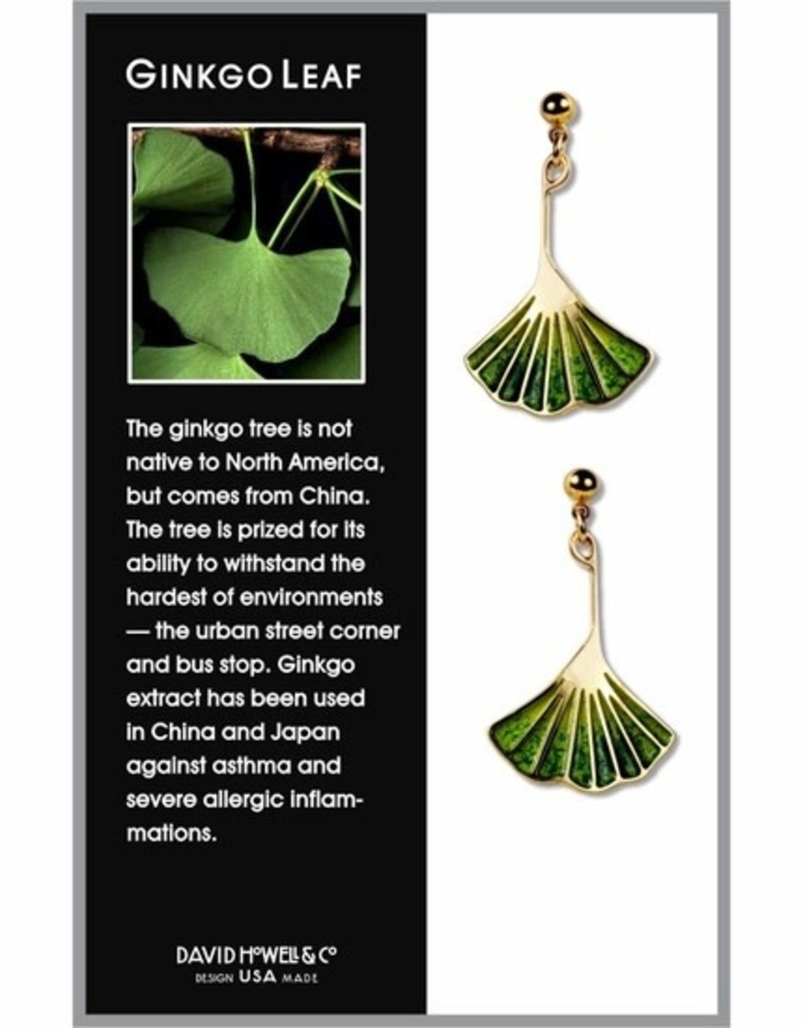 David Howell & Company Gingko Leaf Earrings