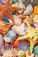 White Mountain Puzzles Beach Shells 500pc Puzzle