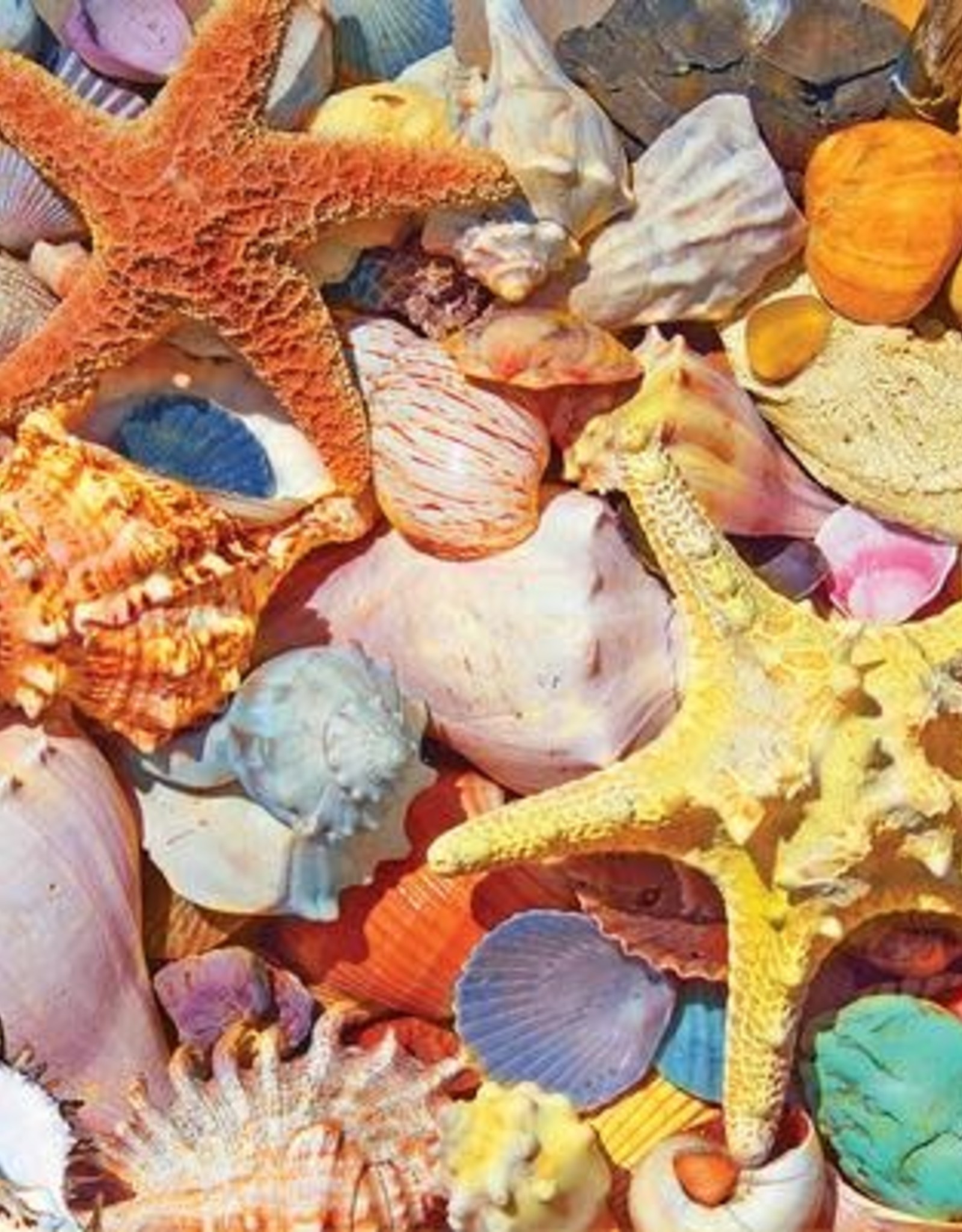 White Mountain Puzzles Beach Shells 500pc Puzzle