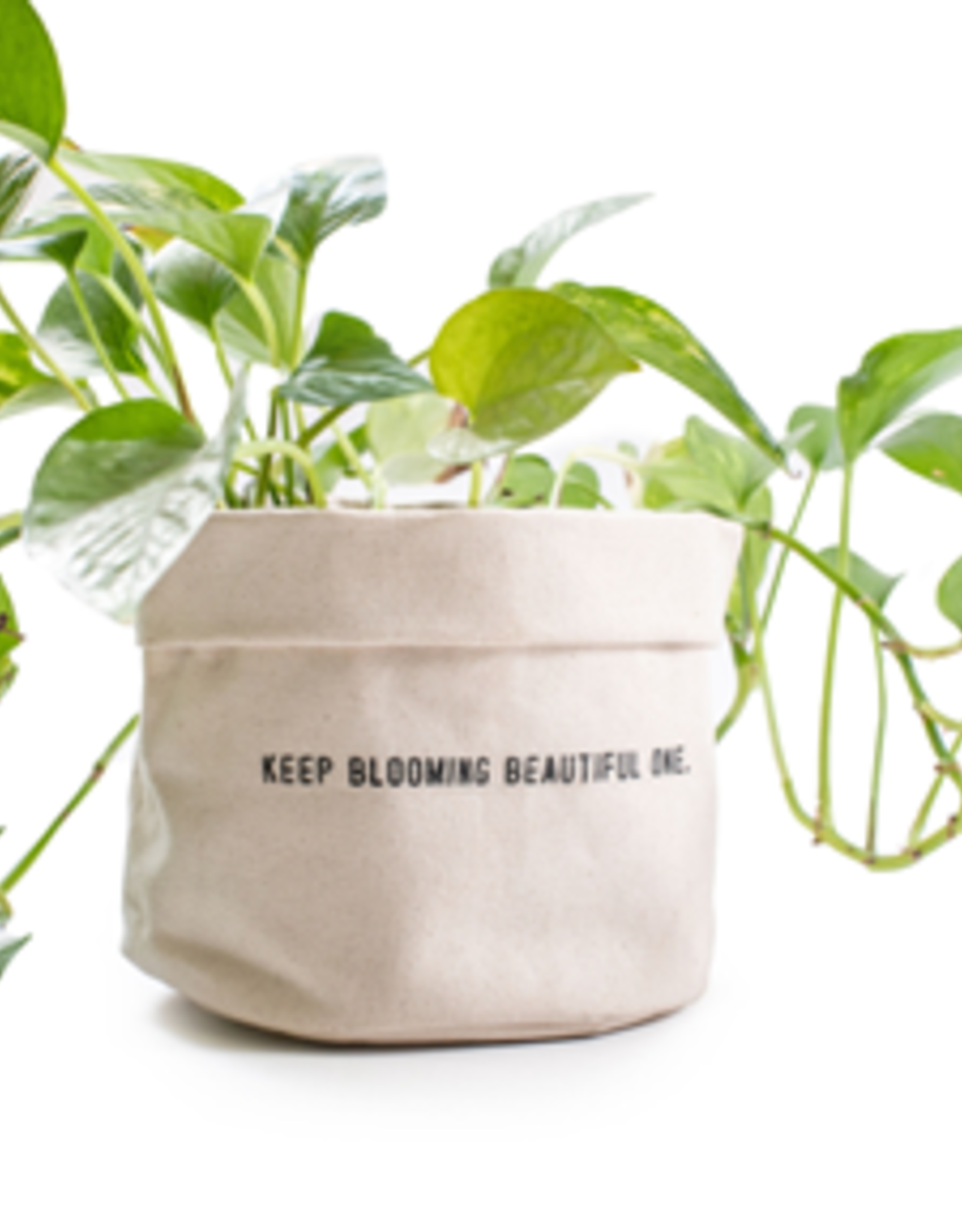 Sugarboo & Co. Keep Blooming Planter
