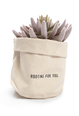 Sugarboo & Co. Rooting For You Planter