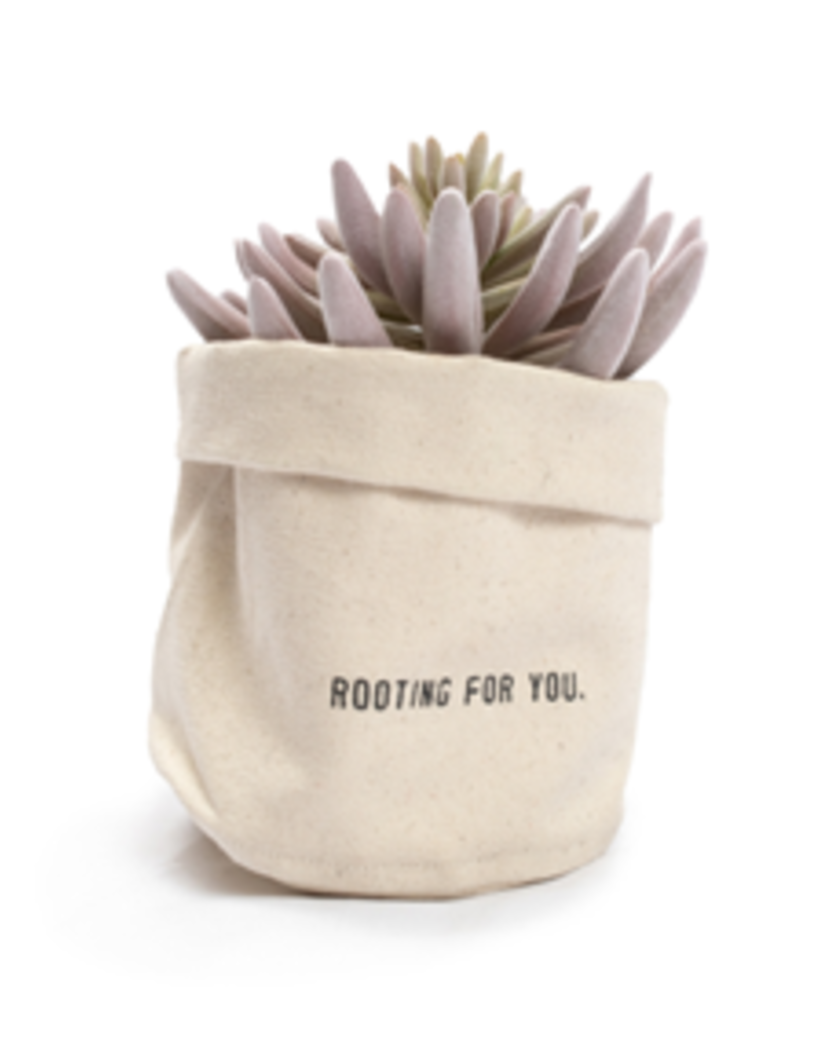 Sugarboo & Co. Rooting For You Planter