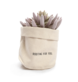 Sugarboo & Co. Rooting For You Planter