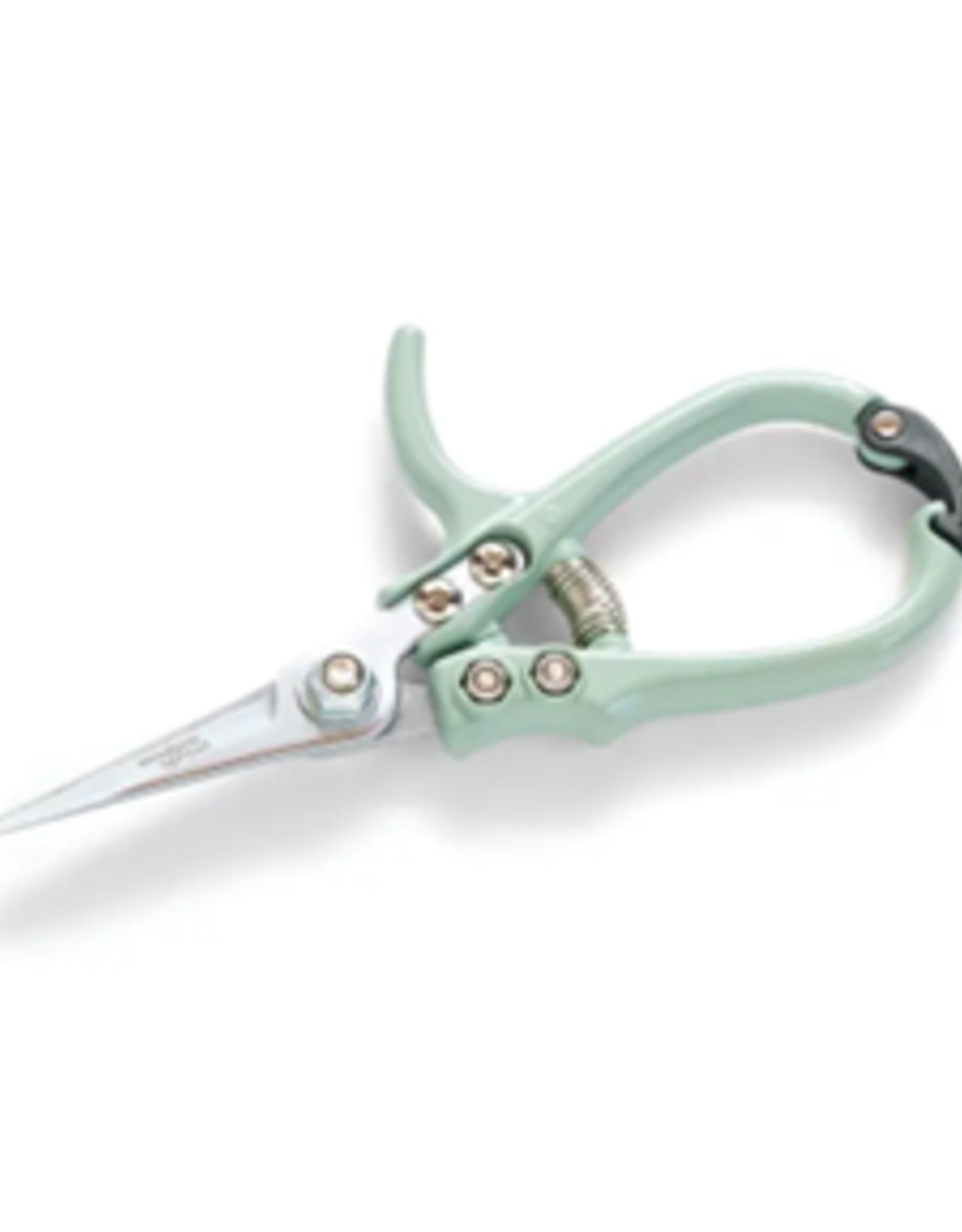Modern Sprout Shears
