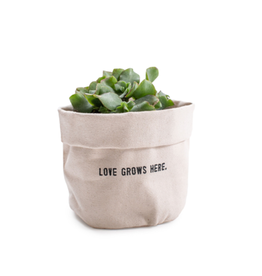 Sugarboo & Co. Love Grows Planter