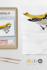 Coloready Bird Study: Goldfinch