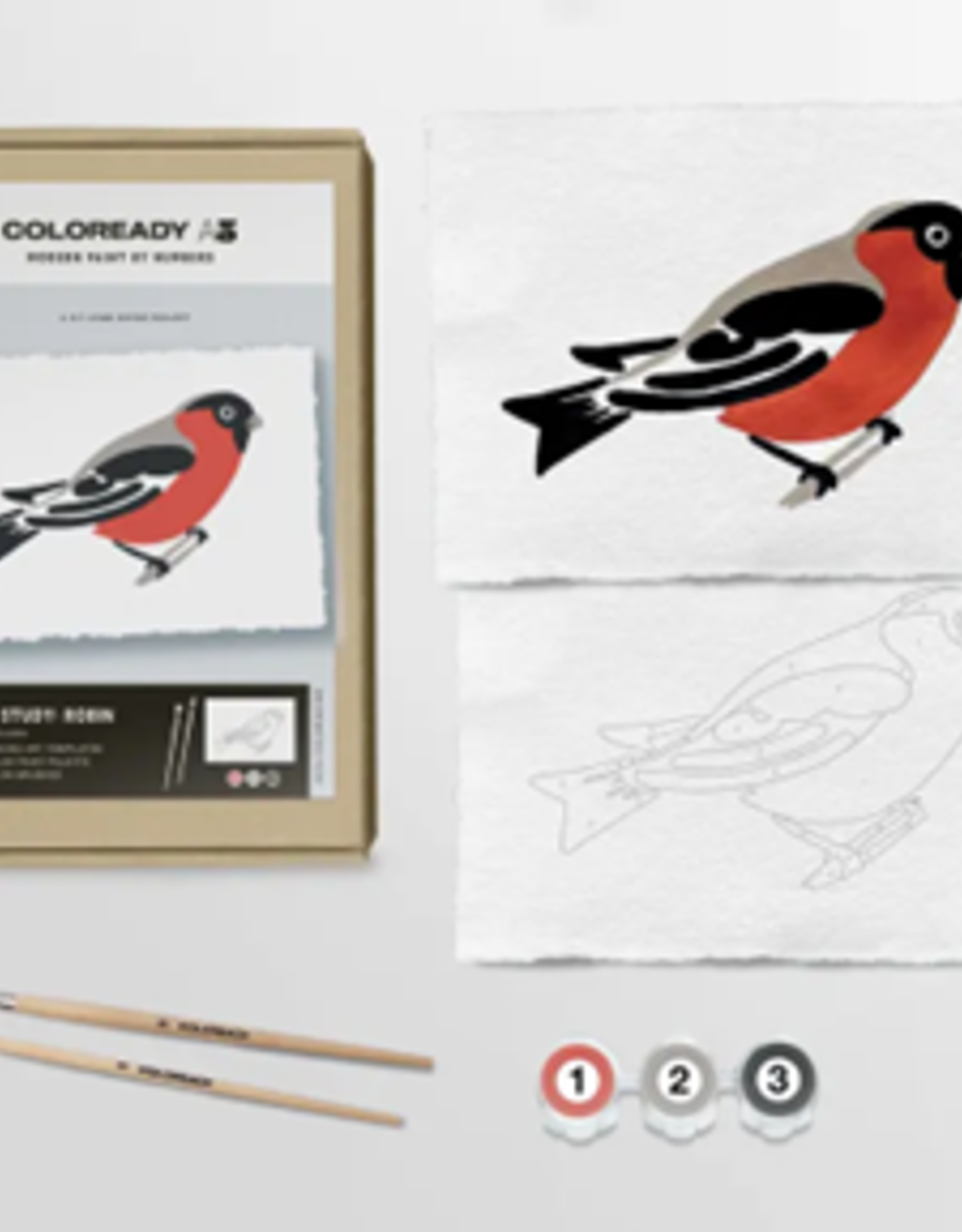 Coloready Bird Study: Robin
