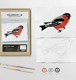 Coloready Bird Study: Robin