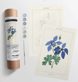 Coloready Blue Columbine Botanical