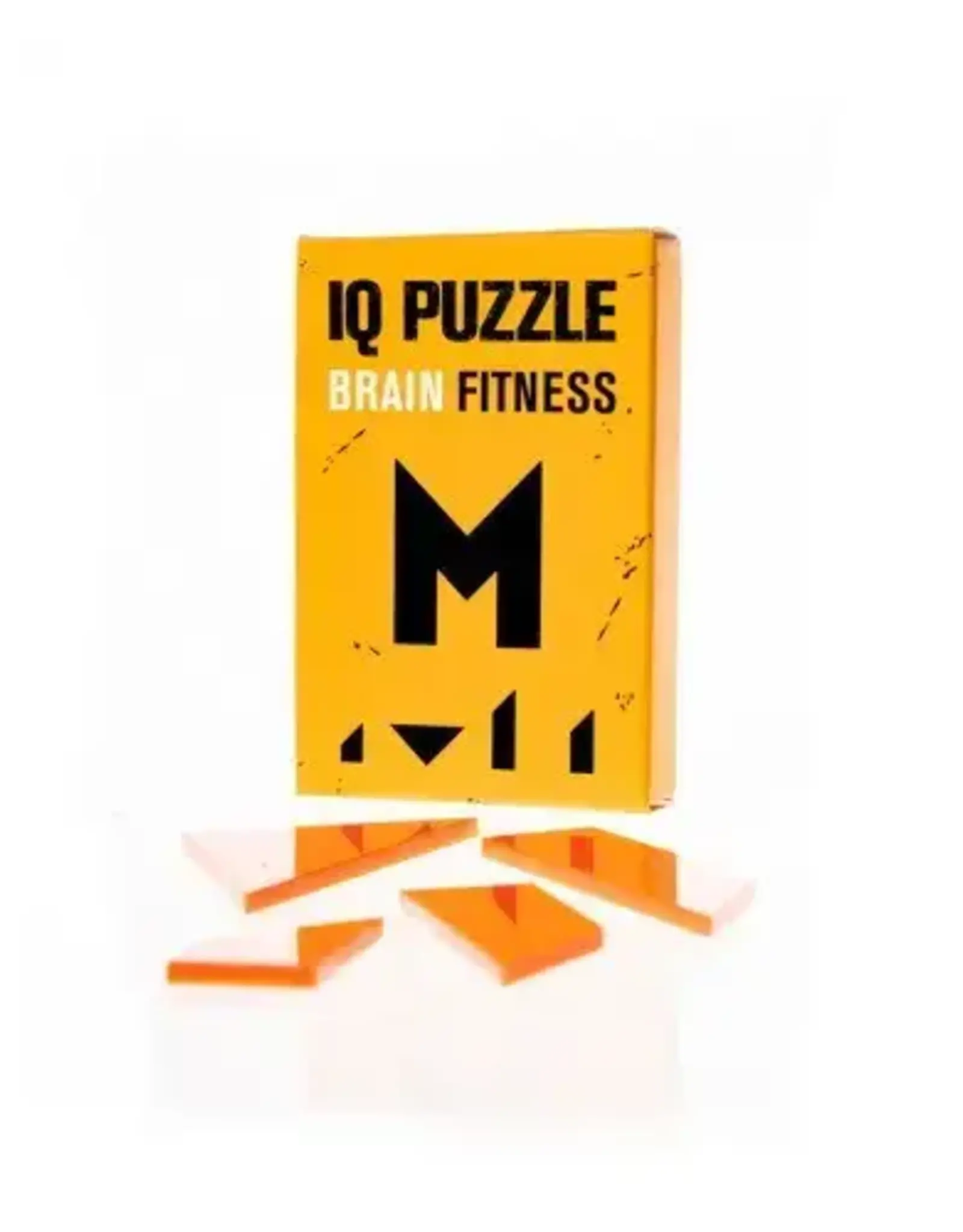 Geek Toys IQ Puzzle- M