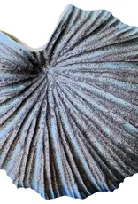 Art Floral Trading 1280ART30BLCOCKLEBLUE Palm Vase