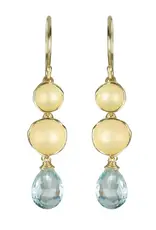 Sarah Richardson Jewelry Double Pod Drop Earrings PER19VAQ Hook