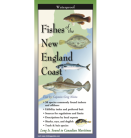 Earth Sky Water Folded Guide: Fishes of the NE Coast