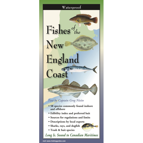 Earth Sky Water Folded Guide: Fishes of the NE Coast - Creations