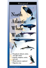 Earth Sky Water Folded Guide: North Atlantic Whale Watch