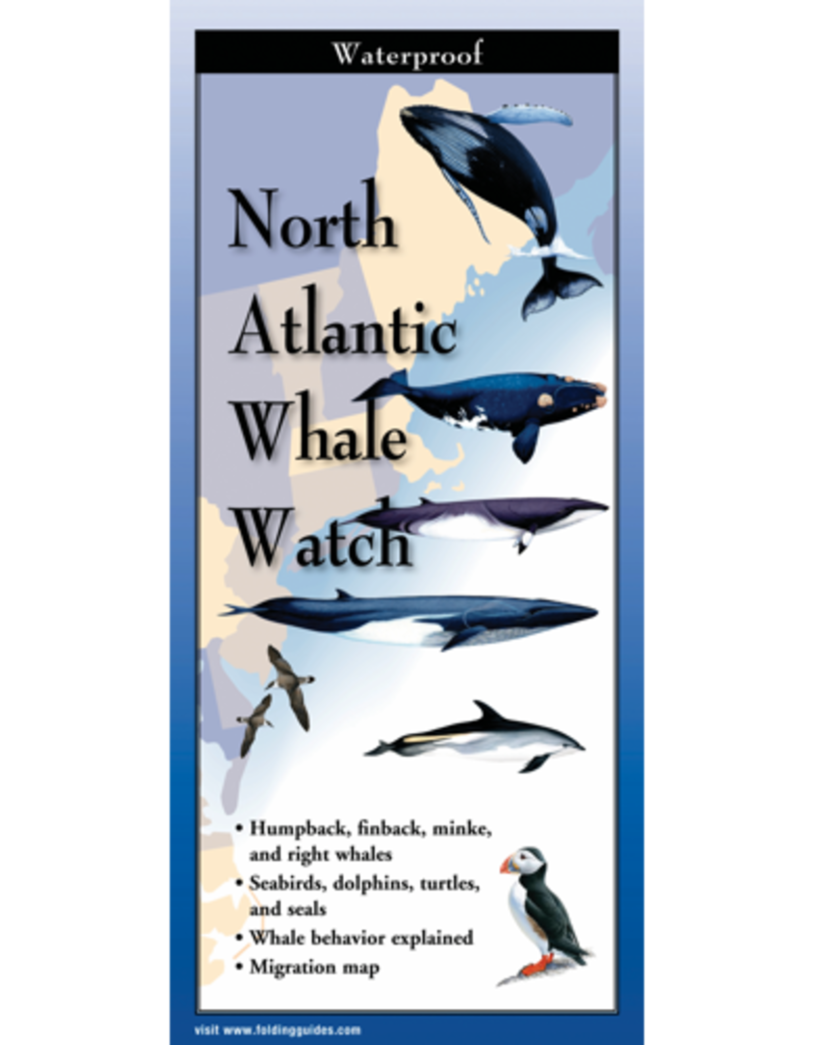 Earth Sky Water Folded Guide: North Atlantic Whale Watch