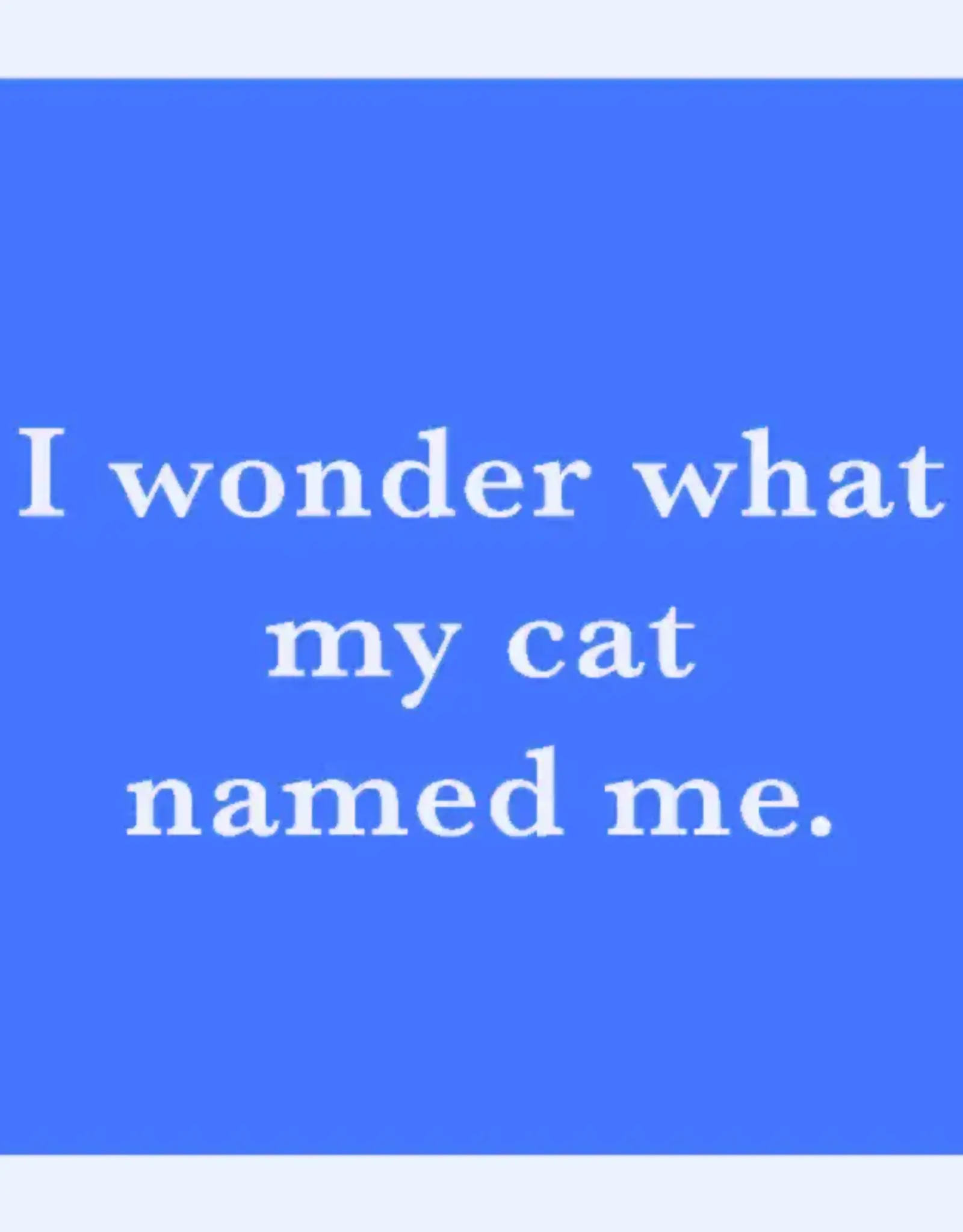 Drinks on Me 1072 Cat Named Me
