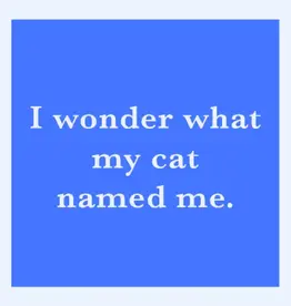 Drinks on Me 1072 Cat Named Me