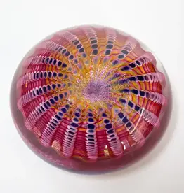 Epiphany Studios Sea Urchin Paperweight- Pink
