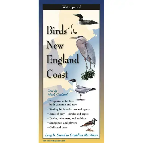 Earth Sky Water Folded Guide: Birds of the NE Coast - Creations