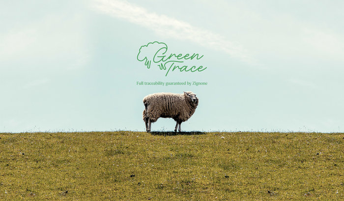 Full Traceability | Summer 22