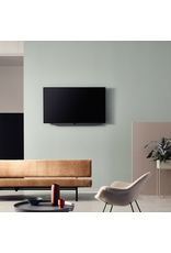 LOEWE LOEWE bild 3.55 UHD OLED Television