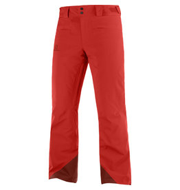 Salomon BRILLIANT PANT