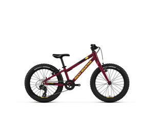 Junior 20 inch mountain bike hotsell
