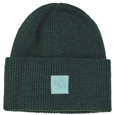 Kari Traa Kyte Beanie Pine