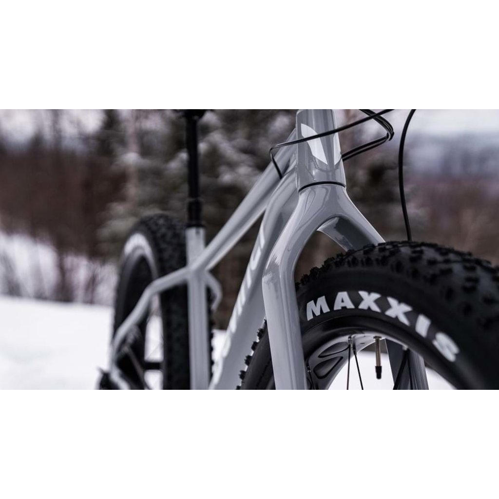 Devinci Minus NX 12S (2023)