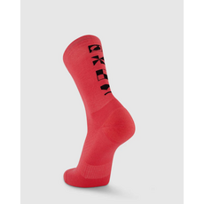 Atlas Merino Crew Sock-Watermelon